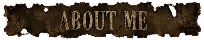 About Author